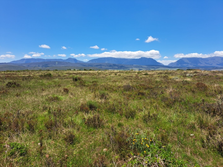 17 Bedroom Property for Sale in Riversdale Rural Western Cape